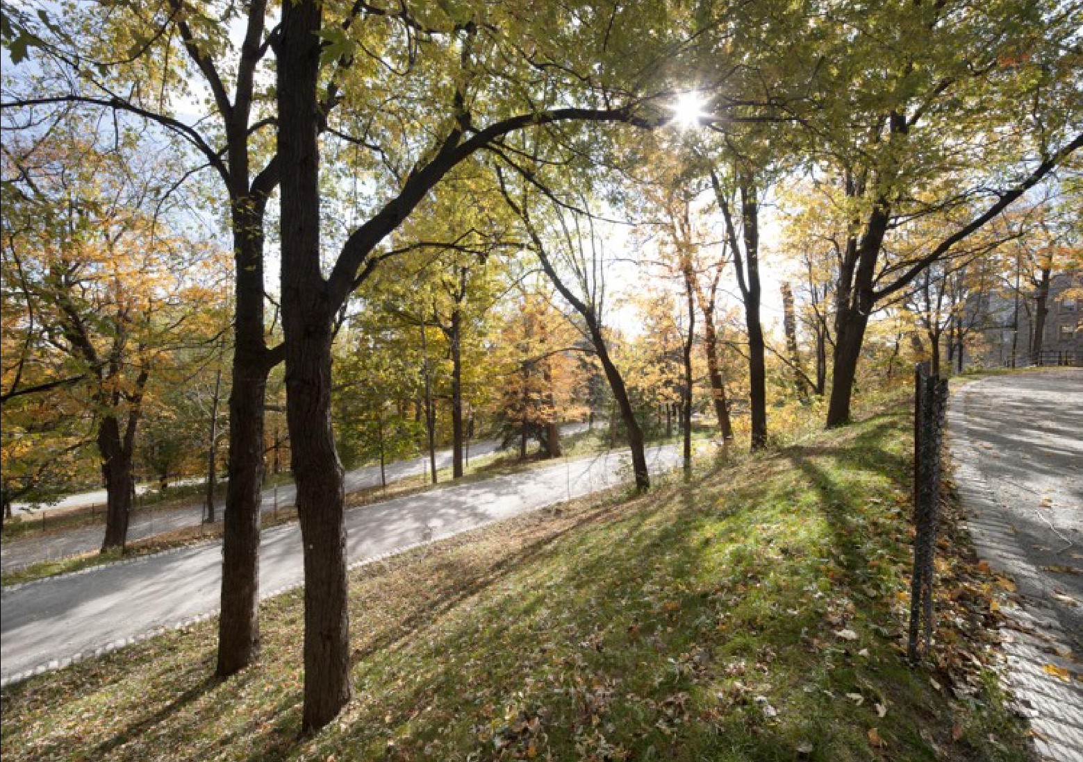 Peel Entrance Union between history and ecology, Mount Royal Park CSLA